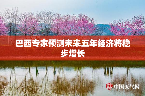 巴西专家预测未来五年经济将稳步增长