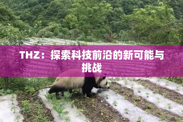 THZ：探索科技前沿的新可能与挑战
