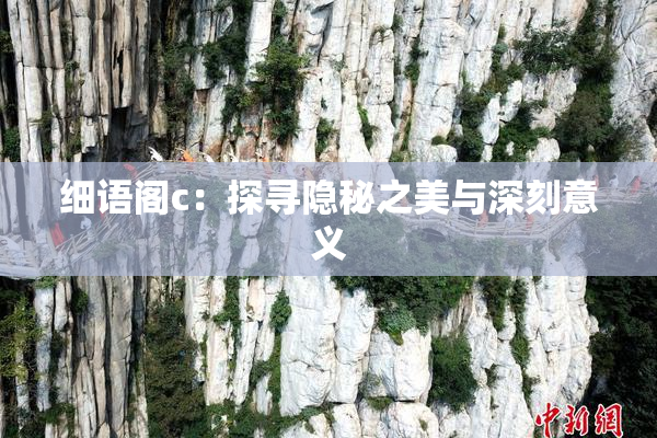 细语阁c：探寻隐秘之美与深刻意义