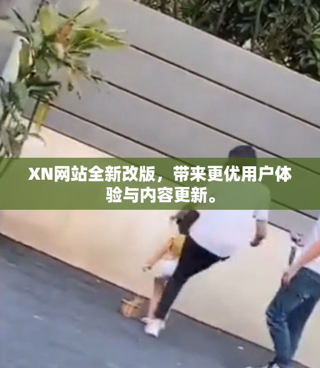 XN网站全新改版，带来更优用户体验与内容更新。