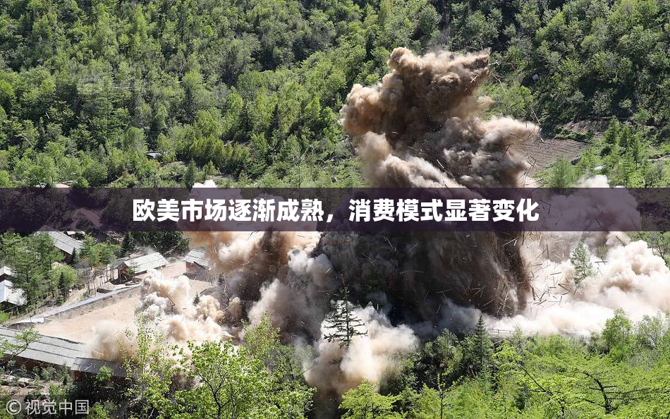 欧美市场逐渐成熟，消费模式显著变化