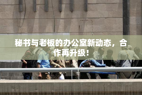 秘书与老板的办公室新动态，合作再升级！