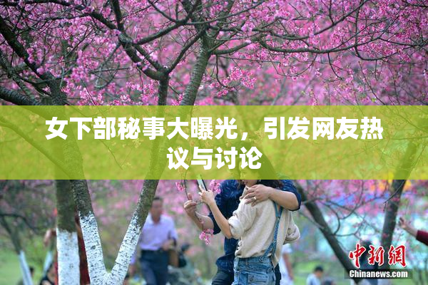 女下部秘事大曝光，引发网友热议与讨论