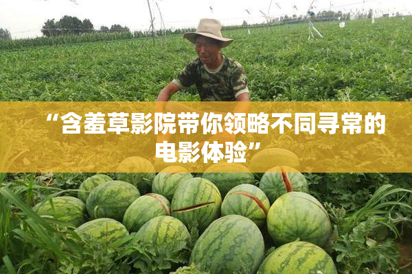 “含羞草影院带你领略不同寻常的电影体验”