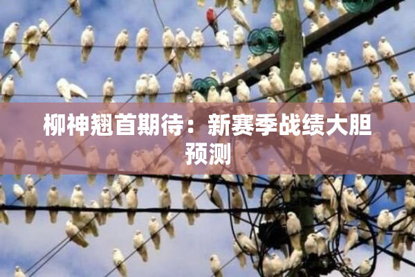 柳神翘首期待：新赛季战绩大胆预测