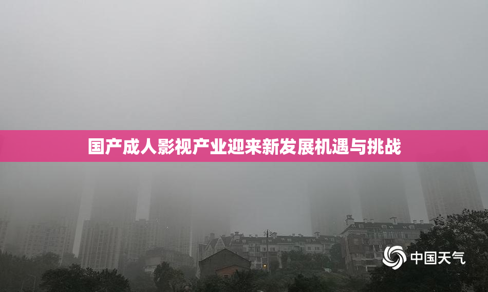 国产成人影视产业迎来新发展机遇与挑战