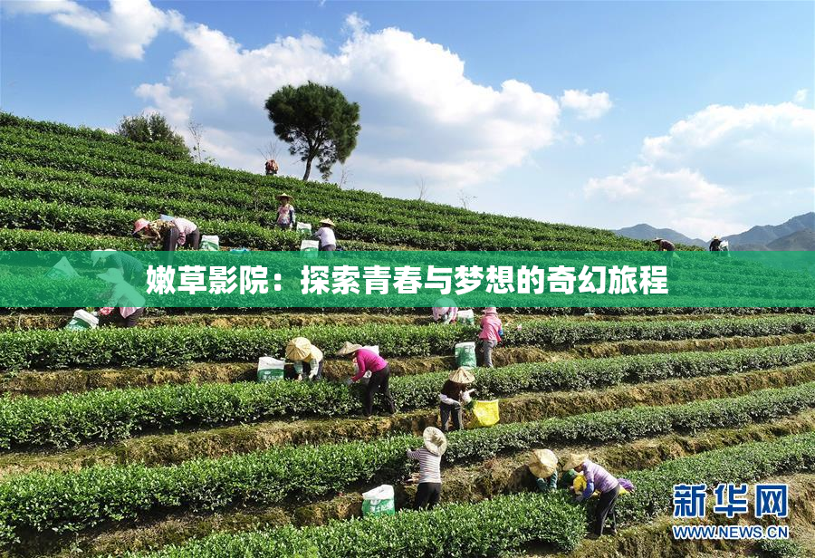 嫩草影院：探索青春与梦想的奇幻旅程