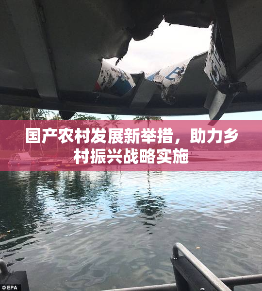 国产农村发展新举措，助力乡村振兴战略实施
