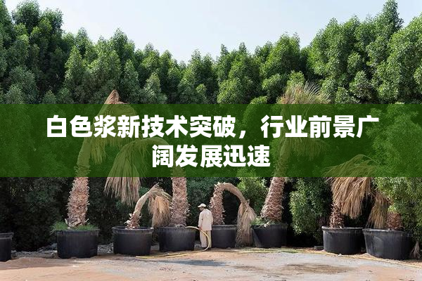 白色浆新技术突破，行业前景广阔发展迅速