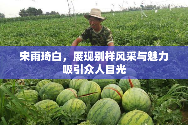 宋雨琦白，展现别样风采与魅力吸引众人目光