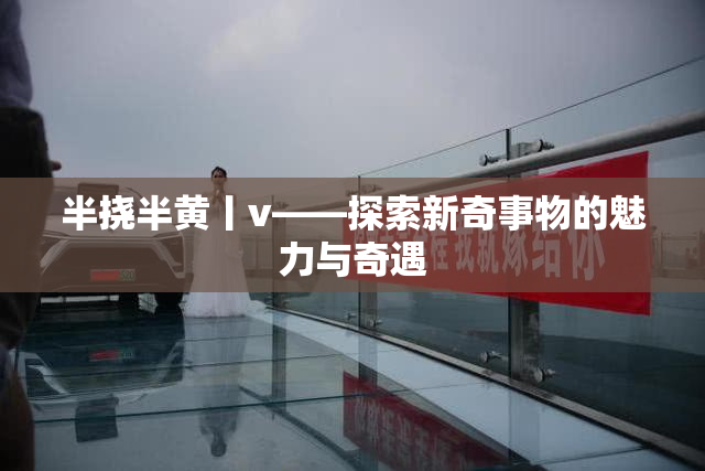 半挠半黄丨v——探索新奇事物的魅力与奇遇