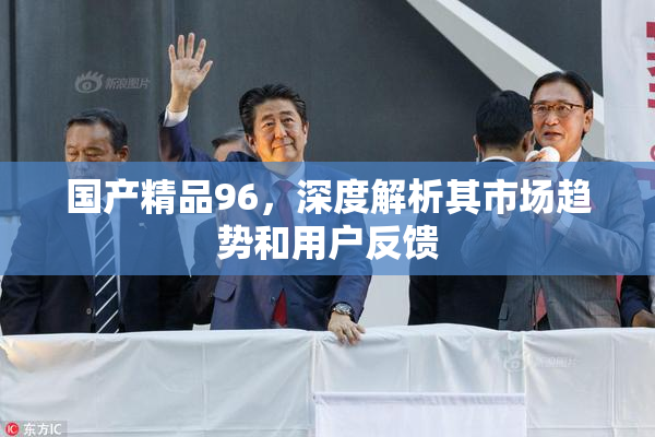 国产精品96，深度解析其市场趋势和用户反馈
