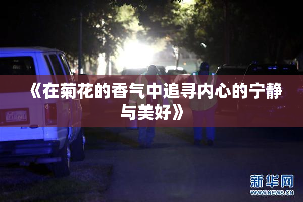 《在菊花的香气中追寻内心的宁静与美好》