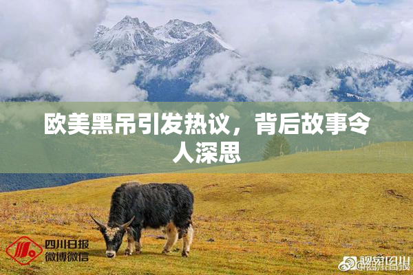欧美黑吊引发热议，背后故事令人深思