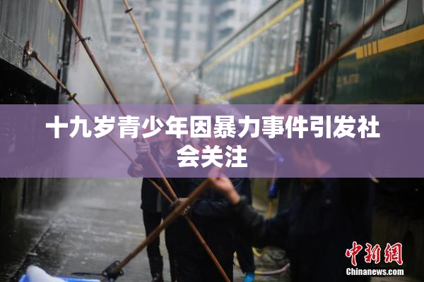 十九岁青少年因暴力事件引发社会关注