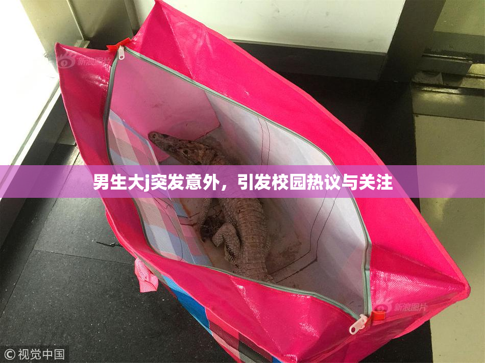 男生大j突发意外，引发校园热议与关注
