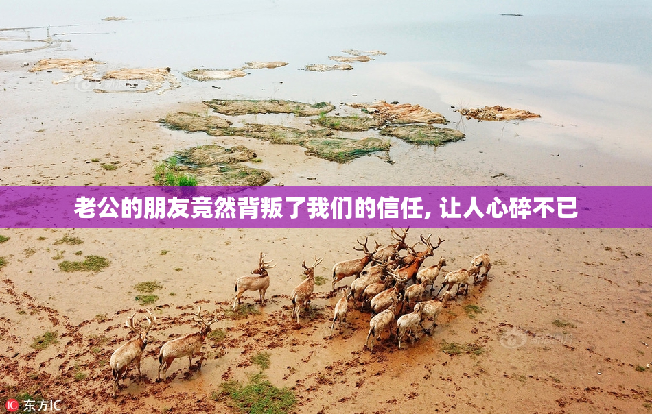 老公的朋友竟然背叛了我们的信任, 让人心碎不已