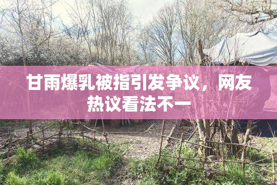 甘雨爆乳被指引发争议，网友热议看法不一