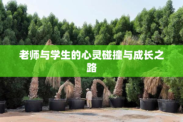 老师与学生的心灵碰撞与成长之路