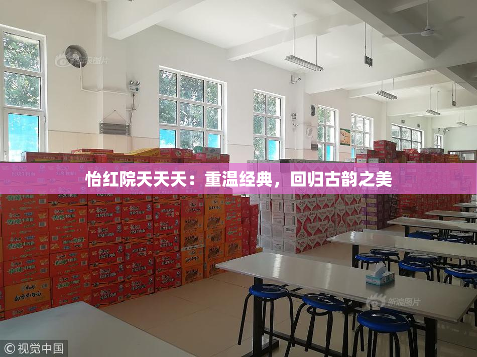 怡红院天天天：重温经典，回归古韵之美