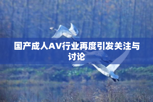 国产成人AV行业再度引发关注与讨论