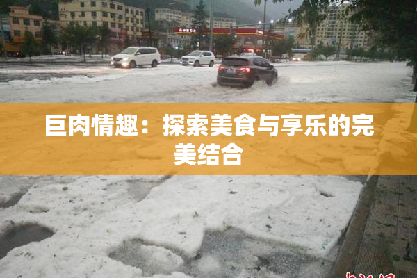 巨肉情趣：探索美食与享乐的完美结合