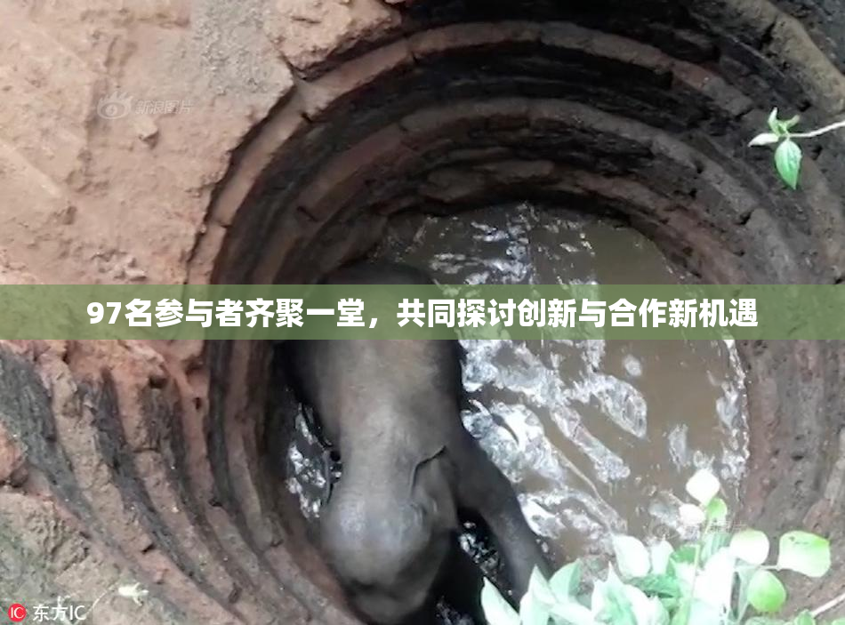 97名参与者齐聚一堂，共同探讨创新与合作新机遇