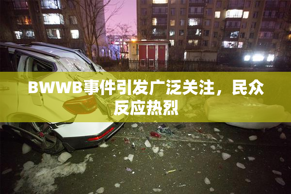 BWWB事件引发广泛关注，民众反应热烈