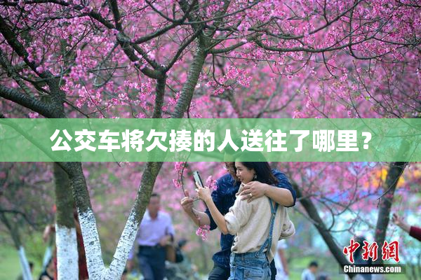 公交车将欠揍的人送往了哪里？