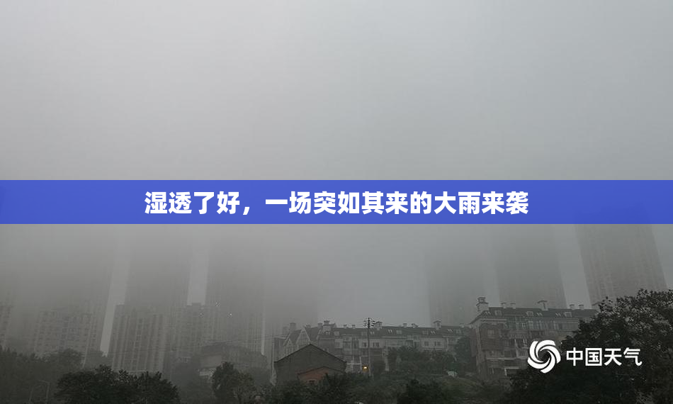 湿透了好，一场突如其来的大雨来袭