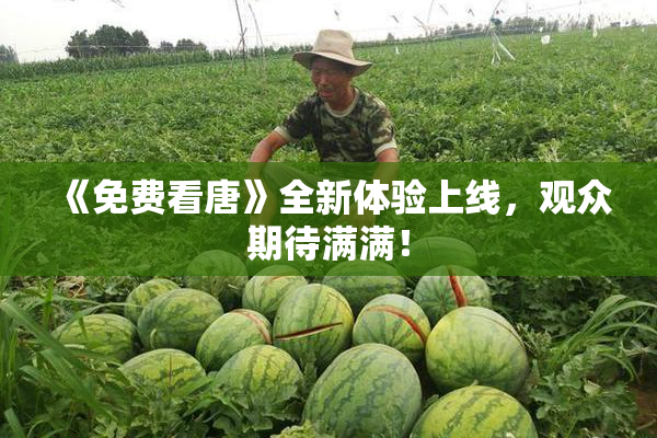 《免费看唐》全新体验上线，观众期待满满！