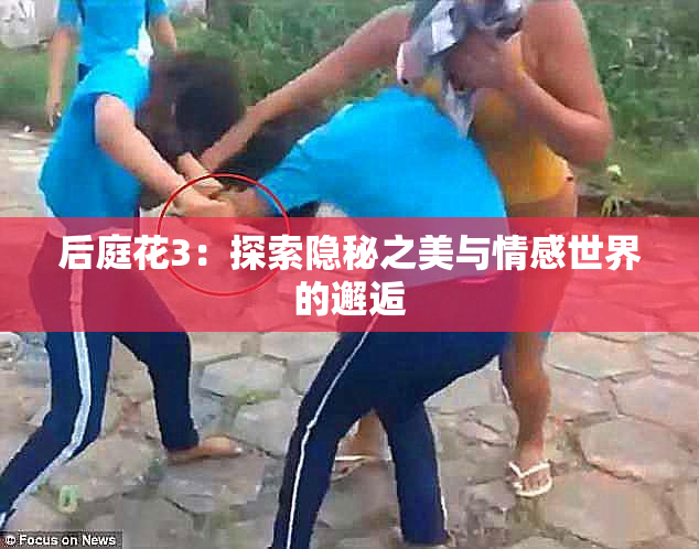 后庭花3：探索隐秘之美与情感世界的邂逅