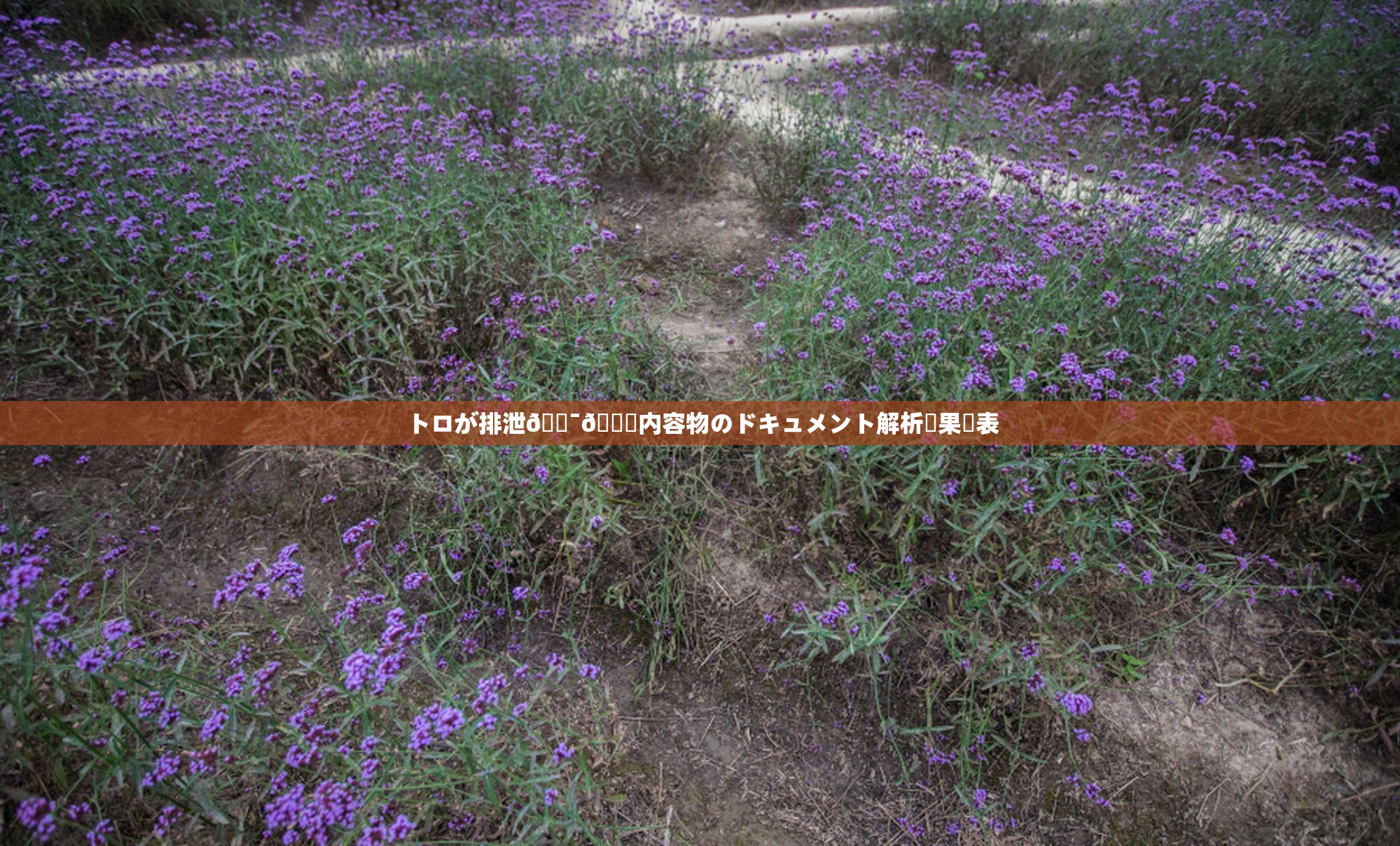 トロが排泄🔯👅内容物のドキュメント解析結果発表