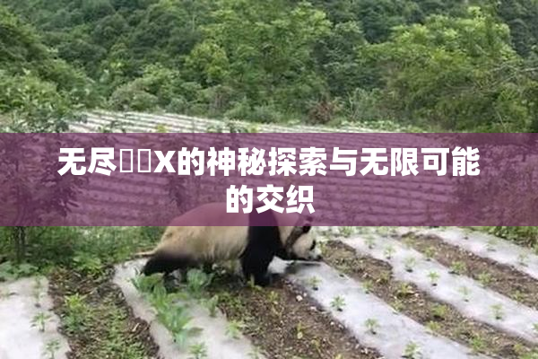 无尽❌‌X的神秘探索与无限可能的交织