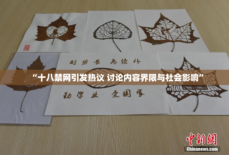 “十八禁网引发热议 讨论内容界限与社会影响”