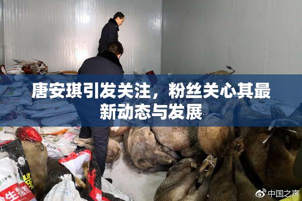 唐安琪引发关注，粉丝关心其最新动态与发展