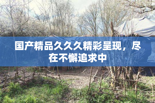 国产精品久久久精彩呈现，尽在不懈追求中