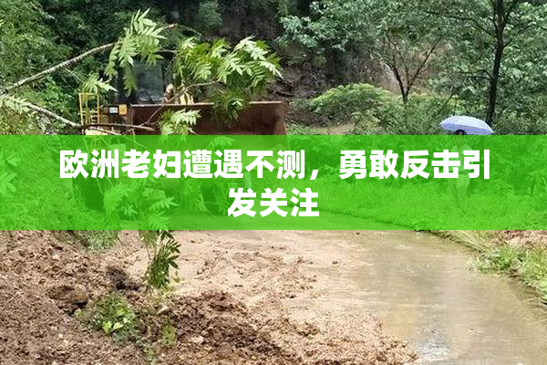 欧洲老妇遭遇不测，勇敢反击引发关注