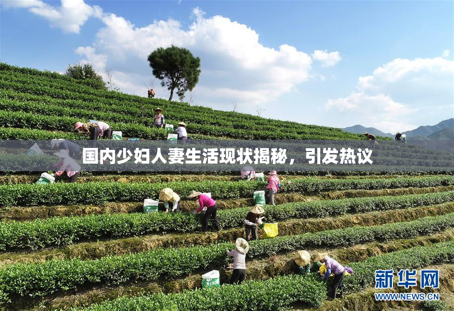 国内少妇人妻生活现状揭秘，引发热议