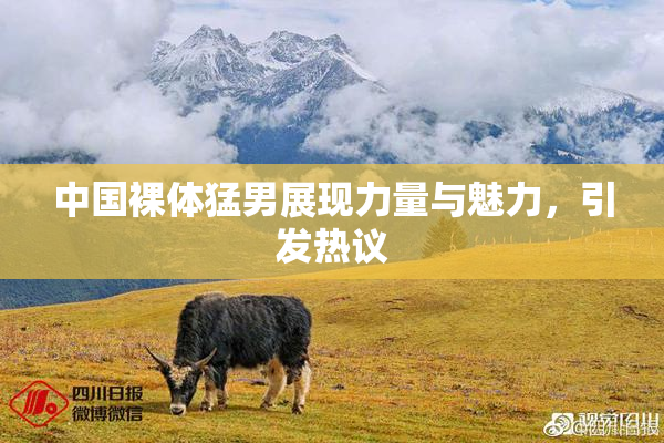 中国裸体猛男展现力量与魅力，引发热议