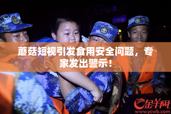 蘑菇短视引发食用安全问题，专家发出警示！