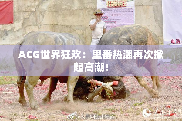 ACG世界狂欢：里番热潮再次掀起高潮！