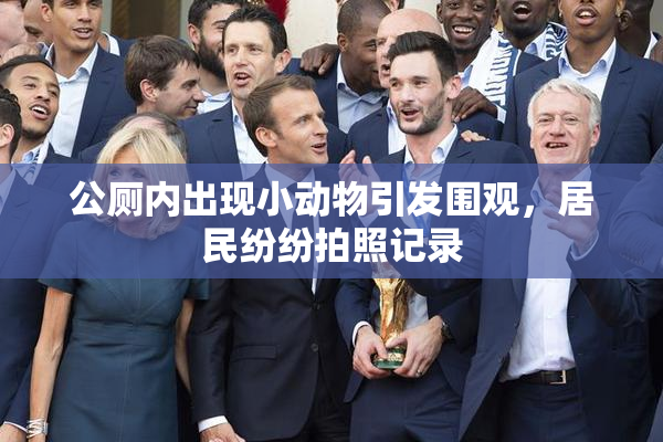 公厕内出现小动物引发围观，居民纷纷拍照记录