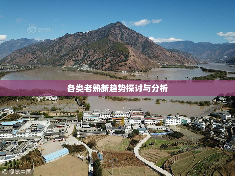各类老熟新趋势探讨与分析