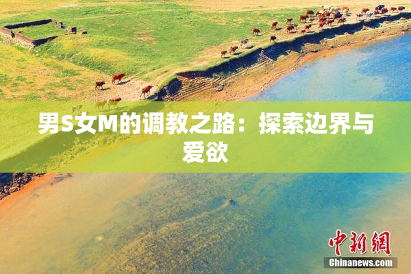 男S女M的调教之路：探索边界与爱欲