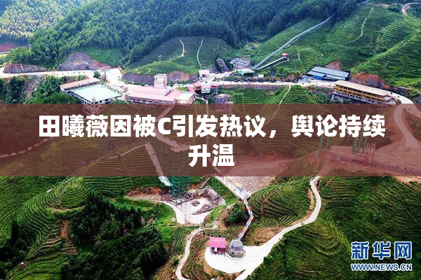 田曦薇因被C引发热议，舆论持续升温