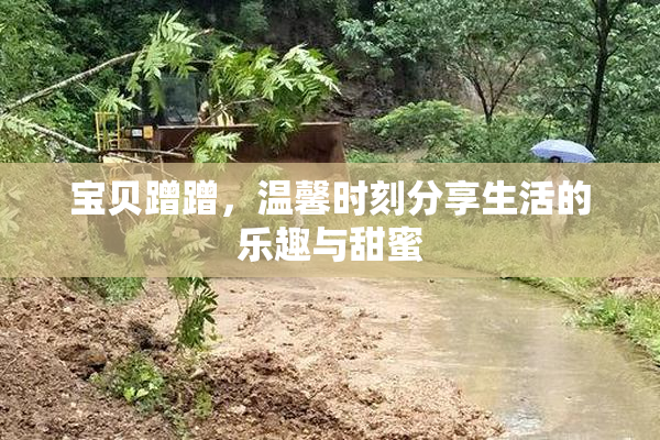 宝贝蹭蹭，温馨时刻分享生活的乐趣与甜蜜