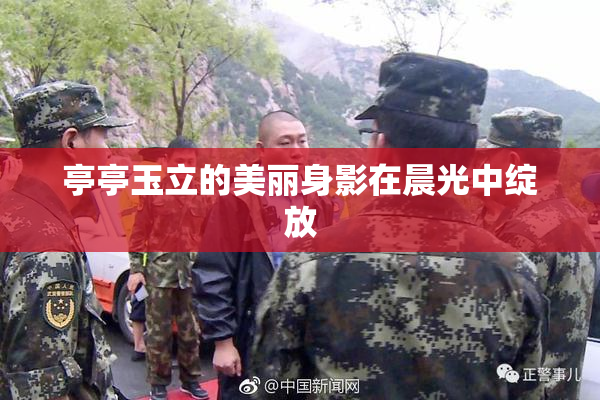 亭亭玉立的美丽身影在晨光中绽放