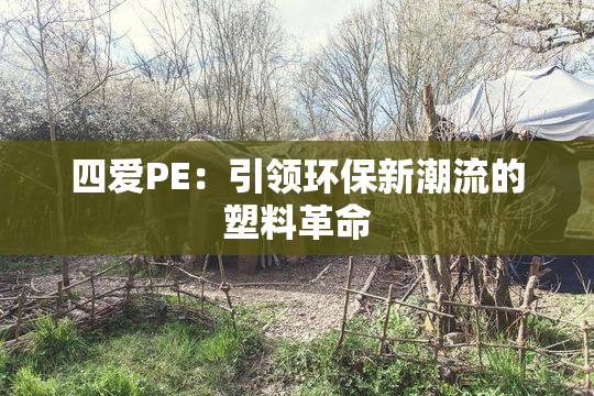 四爱PE：引领环保新潮流的塑料革命