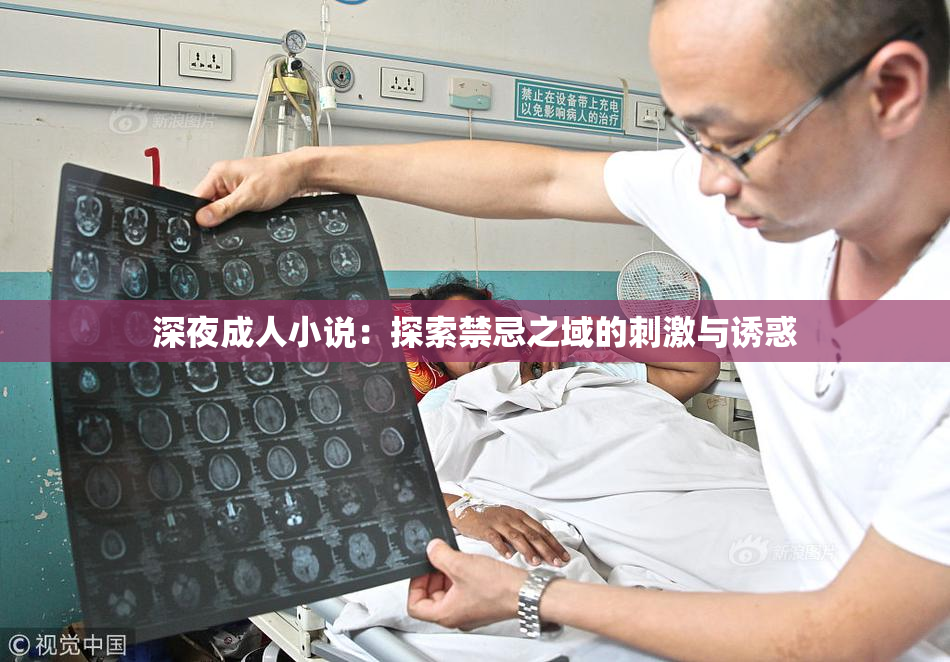 深夜成人小说：探索禁忌之域的刺激与诱惑